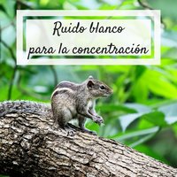 Oceano azul - Enfoque y concentración