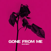 Gone from Me - Bambo
