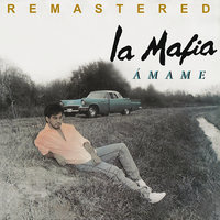 Tanto Amor - La Mafia