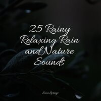 Wet Glass Rains - Rest & Relax Nature Sounds & Academia de Música para Massagem Relaxamento & Sons da Natureza