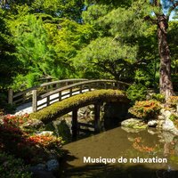 Thinking - Musique Relaxante 101 & Musique Douce Ensemble Master & Musique Relaxante Pour Étudier