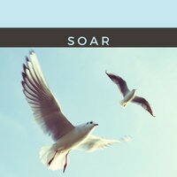 Sound Asleep - Jox Talay
