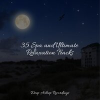 Friendly Melodies - Oasis de Détente et Relaxation & Tonal Meditation Collective & Mindfulness Mediation World