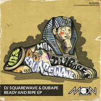 Infinity - DJ Squarewave & DubApe & Elena Shirin