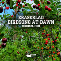 Birdsong At Dawn - Eraserlad