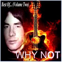Just Like I do - Why Not