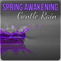 Soothing Sea Waves - Healing Rain Sound Academy