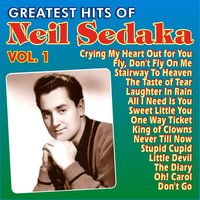 Laughter in Rain - Neil Sedaka