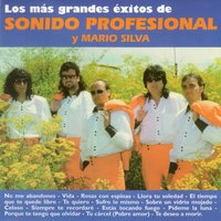 Sufro Lo Mismo - Sonido Profesional