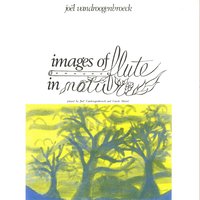 Forest Spirit - Joel Vandroogenbroeck & Carole Muriel