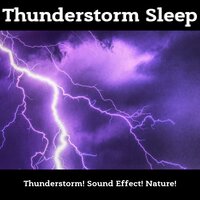 Beautiful Roses in the Rain with Thunder - Thunderstorm! & Sound Effect! /Nature!