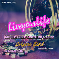 Cristal Bird - Miguel Angel Castellini & Abide & Numedian