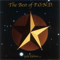 Hildegard von Bingen - Vox & Pond