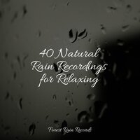 Frogs in a Creek - Nature & Sounds Backgrounds & Natural Nature Makers & Yoga Rain