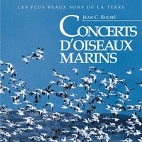 Ile de la côte provençale de nuit début mai - Jean C. Roché