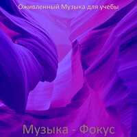 Созерцая (Книги) - Оживленный Музыка для учебы