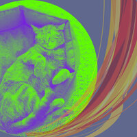 Scintillating Music for Home with Cats - Cat Music Jukebox