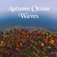 Inner Balance and Focus - Calming Water Consort