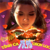 Người Yêu Cô Đơn - Sơn Tuyền