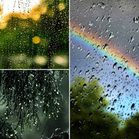 Paradise Like Moods for Sweet Spring - Soft Jazz Background Music