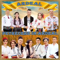 Azi E Ziua Ta Maicuta - Calin Crisan