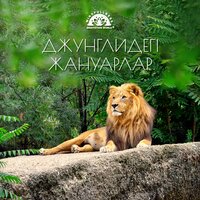 Өмірлік транс - Mindfullness Meditation World