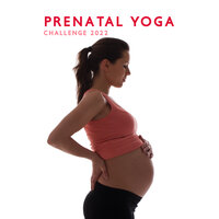 Spiritual Experiences - Prenatal Yoga Music Academy & Prenatal Yoga Music Ensemble