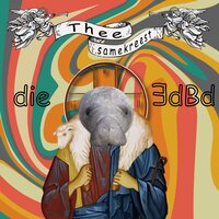 Solong - die EdBd