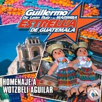 Recuerdos de Ursulita - Guillermo de León Ruiz y Su Marimba Estrella de Guatemala