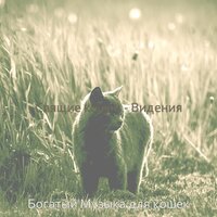 Видения (Отдыхающие кошки) - Богатый Музыка для кошек