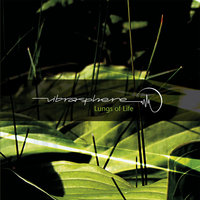 Follow Me - Vibrasphere