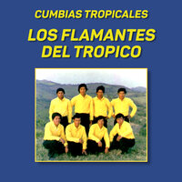 La Papaya Y El Melón - Los Flamantes Del Trópico
