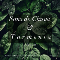 Sons de Chuva e Tormenta na Floresta, Pt. 04 - Rain Sounds Nature Collection & Baltic Nature Sounds & Sons de Chuva e Trovoadas