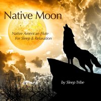 Calling the Animal Spirits - Sleep Tribe