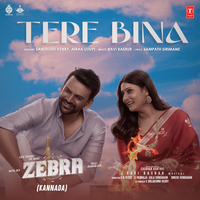 Tere Bina (From "Zebra") - Santosh Venky & Airaa Udupi