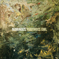 Numinous - Numinous Owl