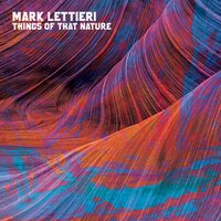 Bubinga - Mark Lettieri