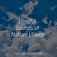 Meditation Music - Music For Absolute Sleep & Exam Study Classical Music & Study Music
