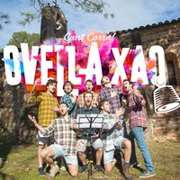 Vola pel Món - Ovella Xao