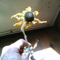 Chemtrails and Cloud Seedin - C}{imps 8 My Ears