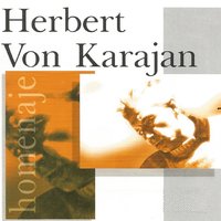 Symphony No. 9 in D Minor, Op. 125: I. Allegro Maestro - Ludwig van Beethoven