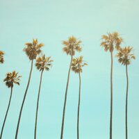 California Dreaming - Besomage & Lunis & BRAN & Nito-Onna & Besomorph