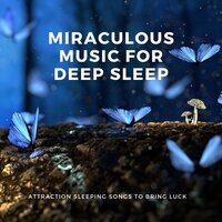 Meditation to Reclaim Your Sleep - Calm Road