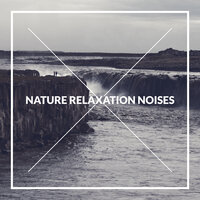 Shriek of the Crows - Best Relaxation Music & Mother Nature Sound FX & Relax Ambience