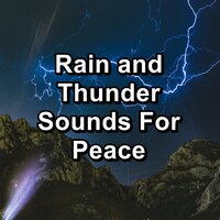 Relaxing Rain and Thunder on a Tin Roof and Thunder To Sleep with for 8 Hours - Rain Sound Studio & Rain Sounds HD & Rain for Sleeping