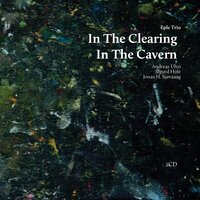 In the Cavern - Eple Trio & Jonas Sjøvaag & Andreas Ulvo & Sigurd Hole