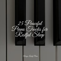 Liszt Consolation No. 4 in D-Flat Major Quasi adagio - Piano Suave Relajante & Bar Lounge & Piano Pacifico
