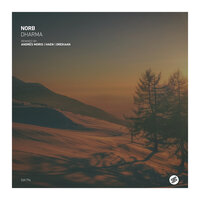 Ananda - Norb & HAEN