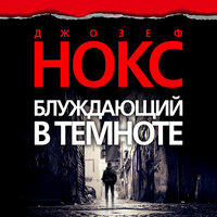 Джозеф Нокс. «Блуждающий в темноте». Часть 7 - Владимир Голицын