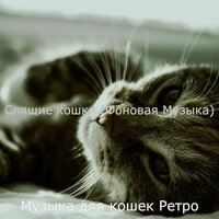 Моменты (Отдыхающие кошки) - Музыка для кошек Ретро